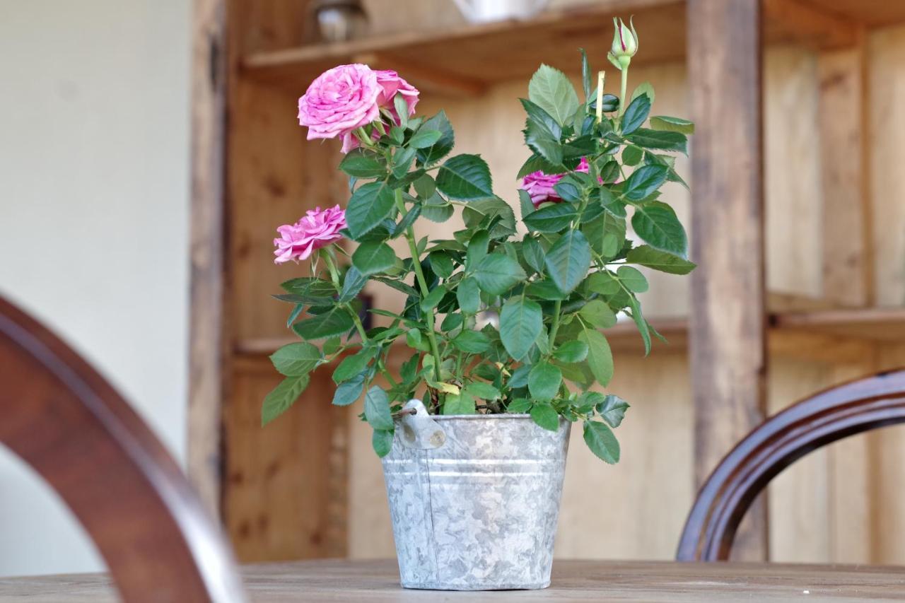 Bed and Breakfast Beb Montefratta Фратта-Терме Экстерьер фото