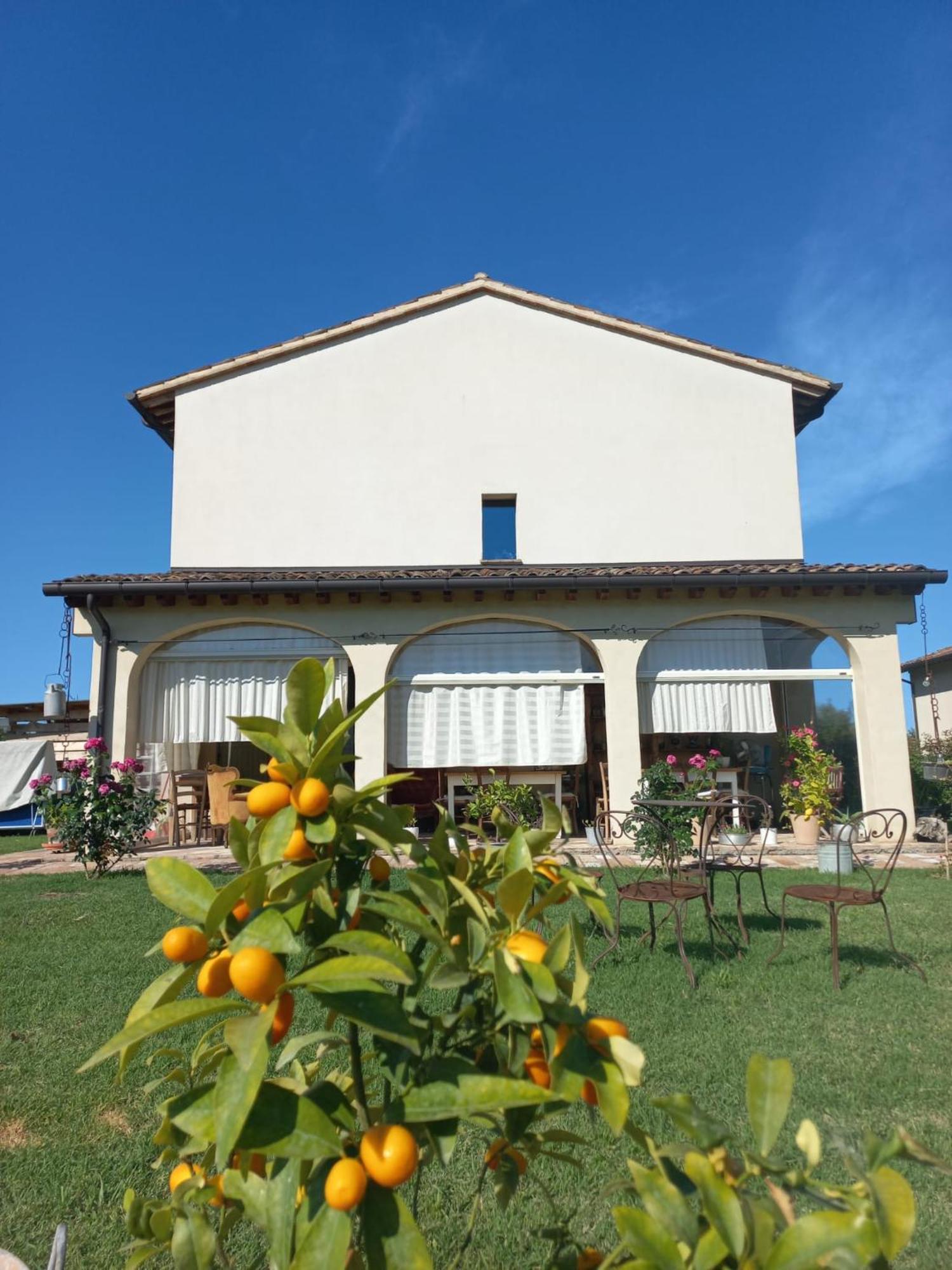 Bed and Breakfast Beb Montefratta Фратта-Терме Экстерьер фото