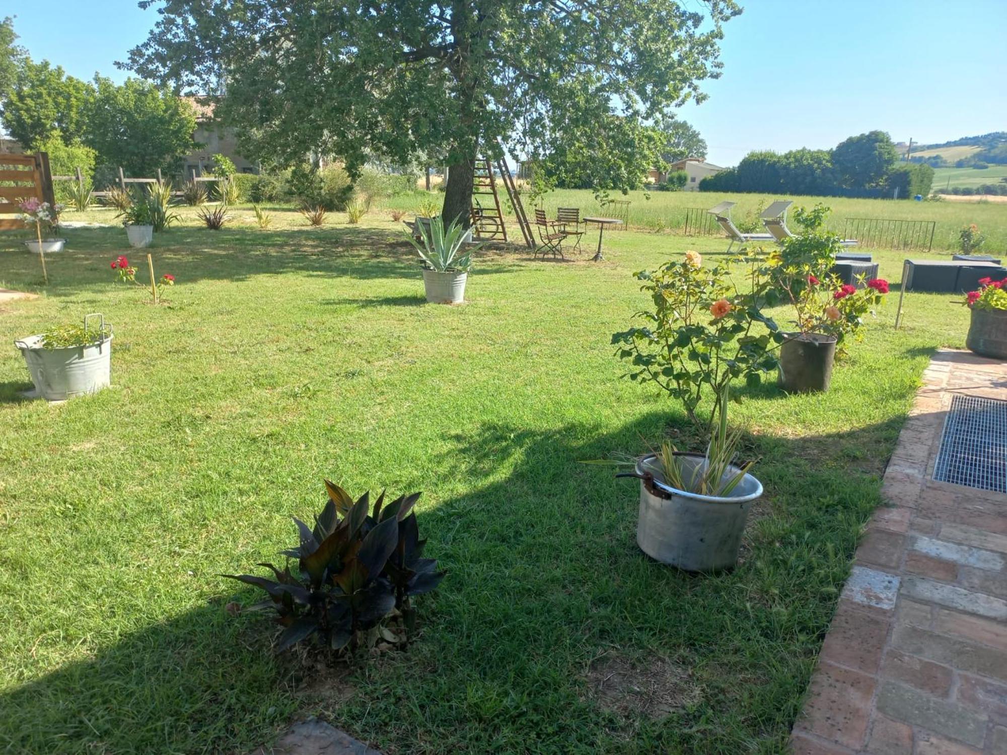 Bed and Breakfast Beb Montefratta Фратта-Терме Экстерьер фото