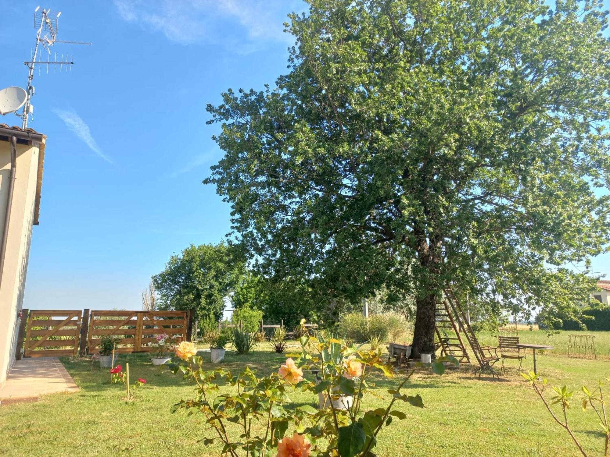 Bed and Breakfast Beb Montefratta Фратта-Терме Экстерьер фото